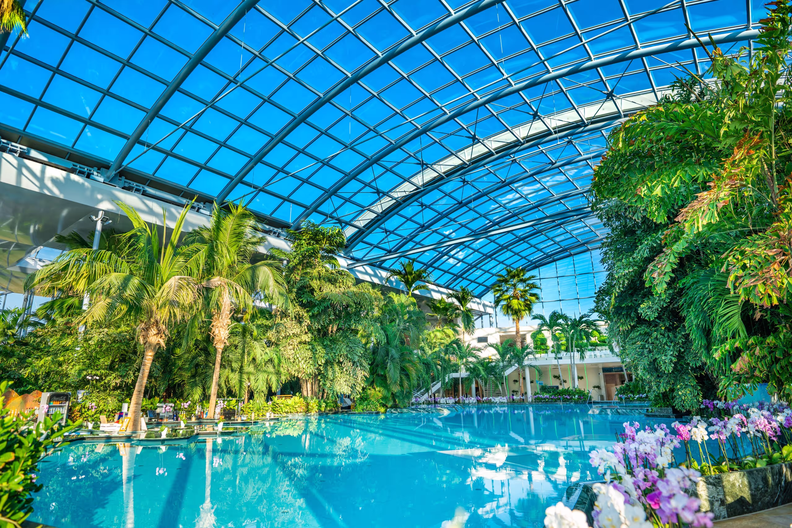 Therme Bucharest glass dome pools, a scheduled recovery stop on the Helix itinerary