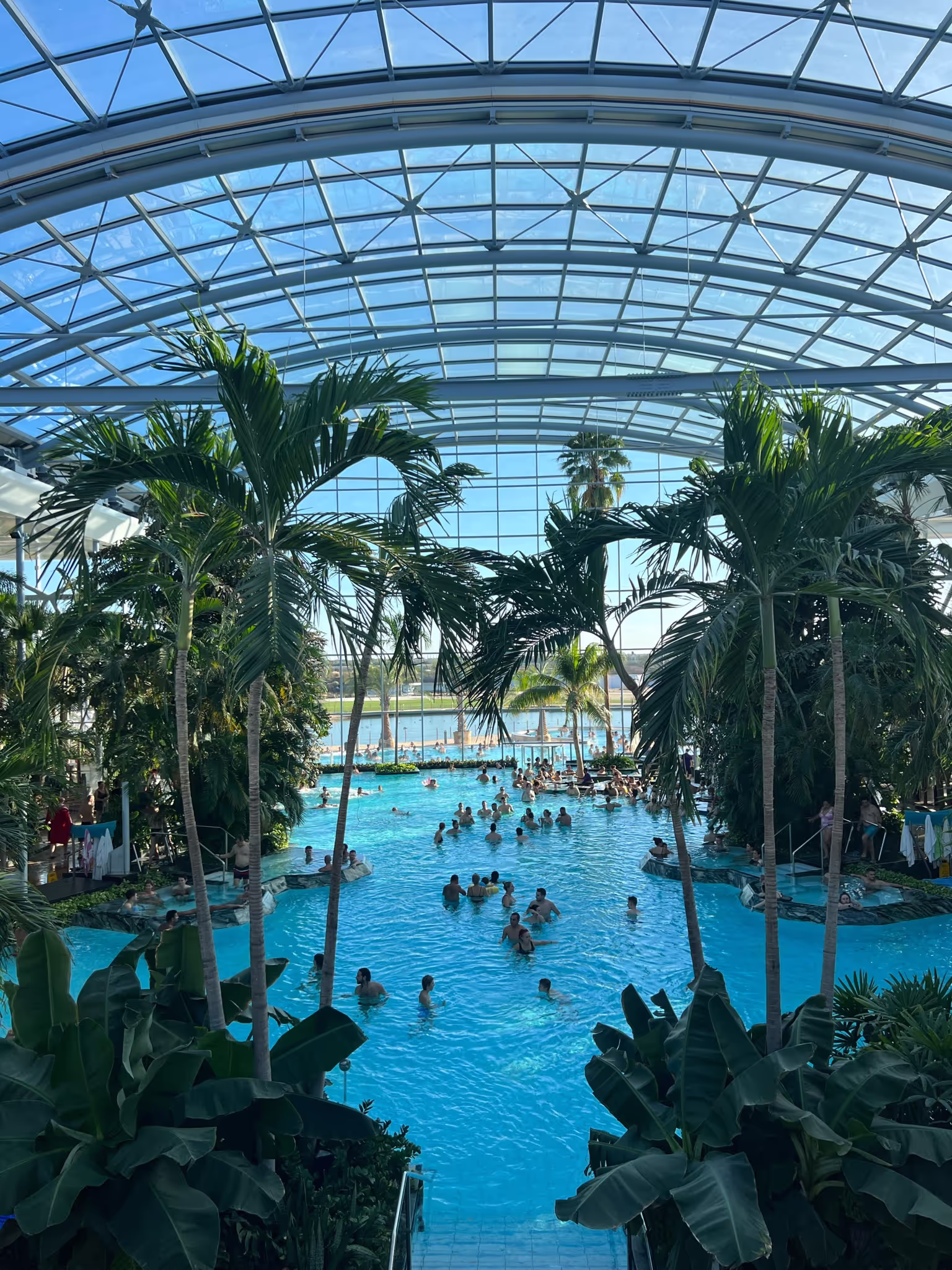 Therme Bucharest palm-lined pools, a recovery stop on the Helix Bucharest itinerary